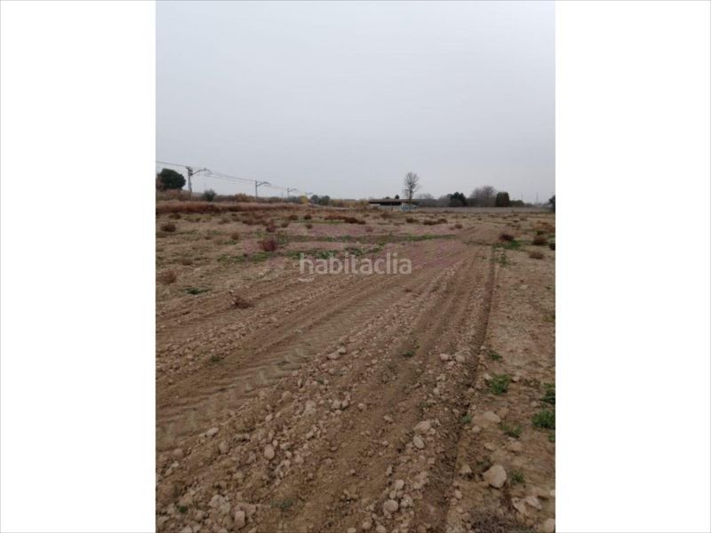 Foto 1f7cc96c-f2ce-41a4-891e-eb06e6c16ce4. Terreny residencial a Burgo de Ebro (El)