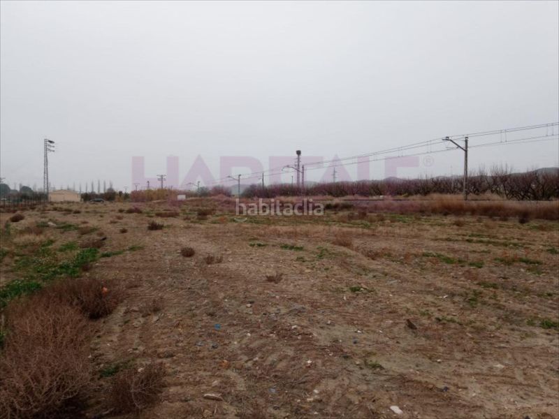 Foto 3fbd305a-ddf3-4c7e-95d7-535255cd6d3f. Terreny residencial a Burgo de Ebro (El)
