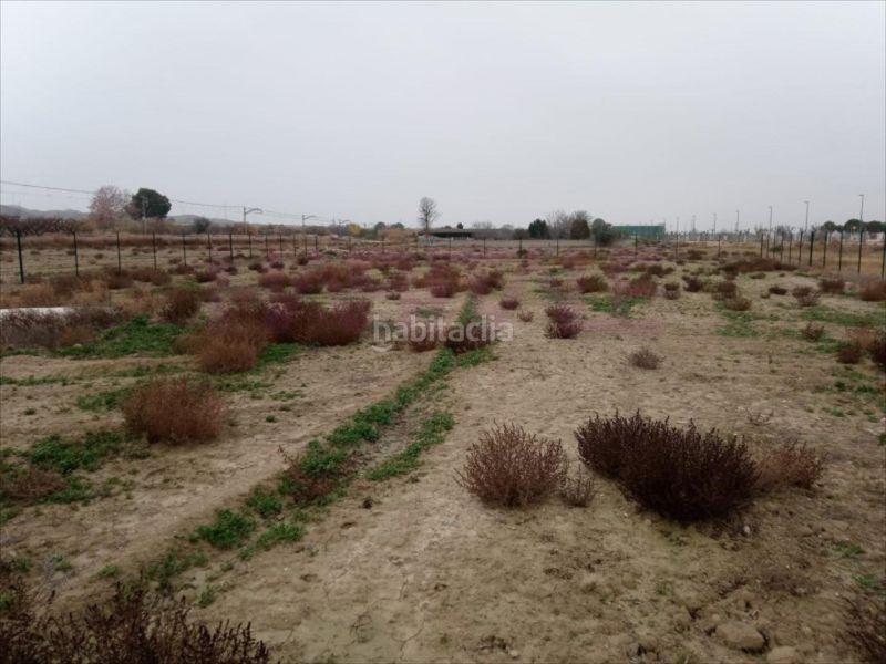 Foto a40e9b37-7d73-4666-a17c-a49334899858. Terreny residencial a Burgo de Ebro (El)