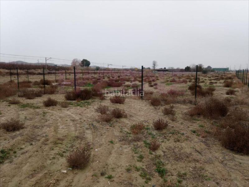 Foto c8d58c75-2164-4a38-acac-3ae80522e221. Terreny residencial a Burgo de Ebro (El)