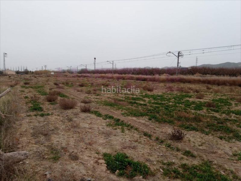 Foto d33c1d7c-4084-4e5f-af6b-737c3dc02ddd. Terreny residencial a Burgo de Ebro (El)
