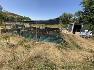 Alquiler Finca rústica en Calle letra a 2. Se buscan colaboradores. junto a rio con agua todo el año, clare