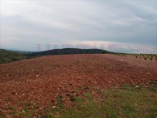 Rent Residential Plot in Clarés de Ribota. Se puede alquilar por días, semanas, meses, años consultar segun