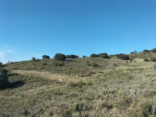 Propri�t� en Ermita. Loranca de taju�a, parcela de monte. suelo rustico