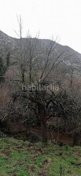 Foto 5902d607-a914-4013-a3d3-4c054e86f5c2. Miete landgut in sin numero in Teverga