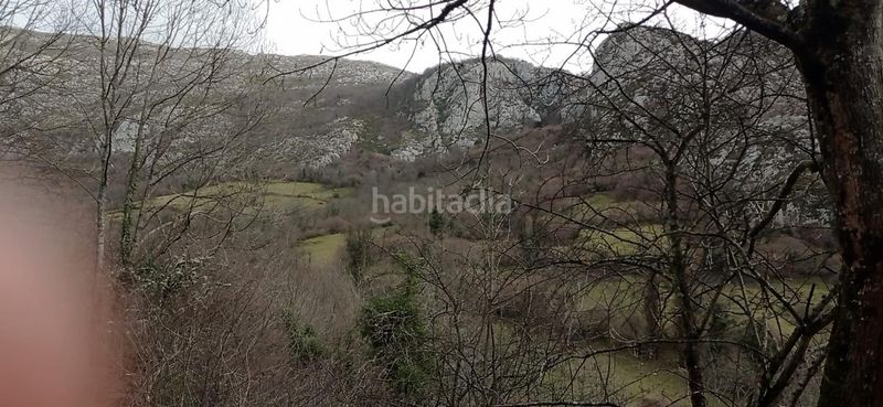 Foto b505bbeb-f8c2-4f0c-84f8-6a31e8441184. Lloguer finca rústica a sin numero a Teverga