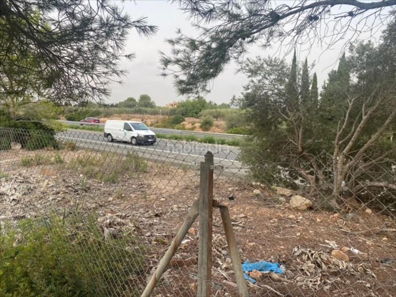 Foto 1a722bfc-0c3b-444d-b6ae-762a9bcf67d2. Lloguer finca rústica a carretera nacional 340 a Ampolla (L´)