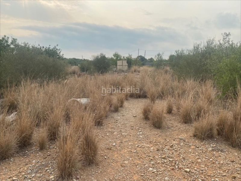 Foto 49982832-598d-4c50-a148-b7cad59af572. Lloguer finca rústica a carretera nacional 340 a Ampolla (L´)