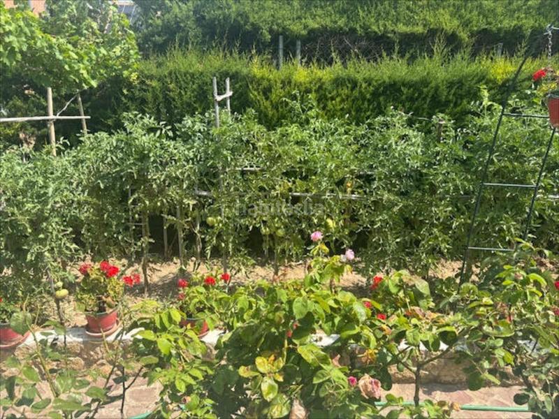 Foto 9b54daeb-1cf6-436c-bff6-36eb3b860ae7. Casa aparellada a Montecanal Zaragoza