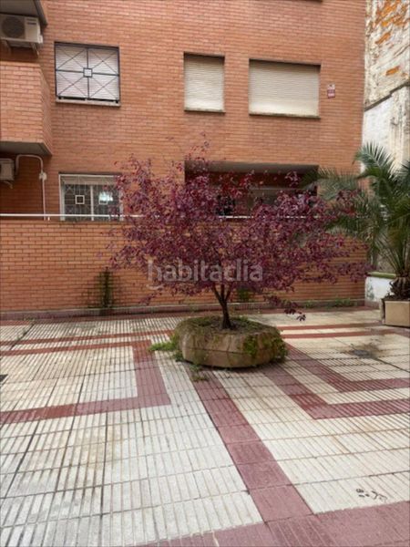 Foto 530db7ff-f0b9-46de-8865-2460c3617a37. Pis a Alfonso Zaragoza