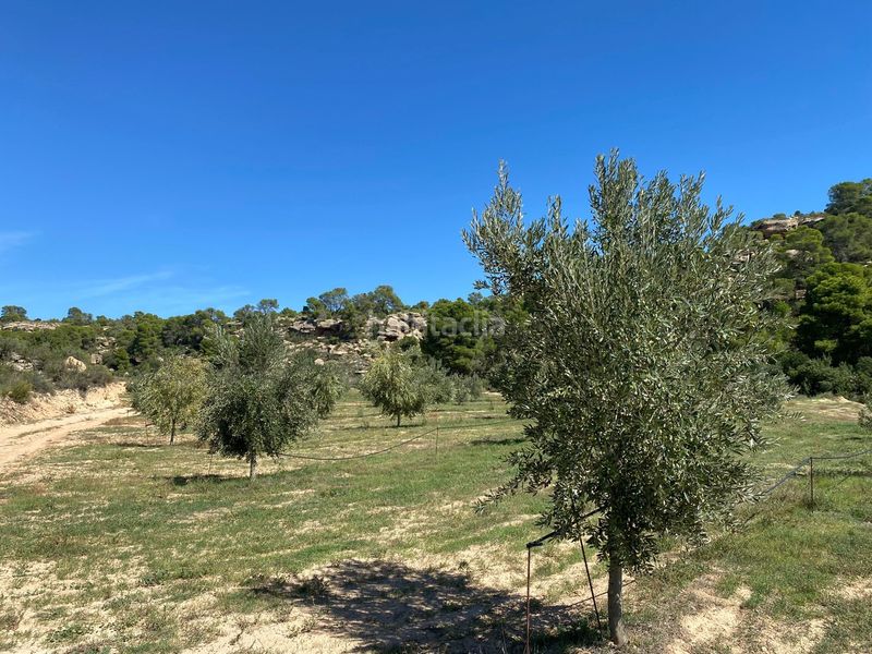 Foto 013546af-6f2a-498c-8531-b0b63d69aa1f. Terrain résidentiel dans carretera Alcañiz a caspe dans Alcañiz