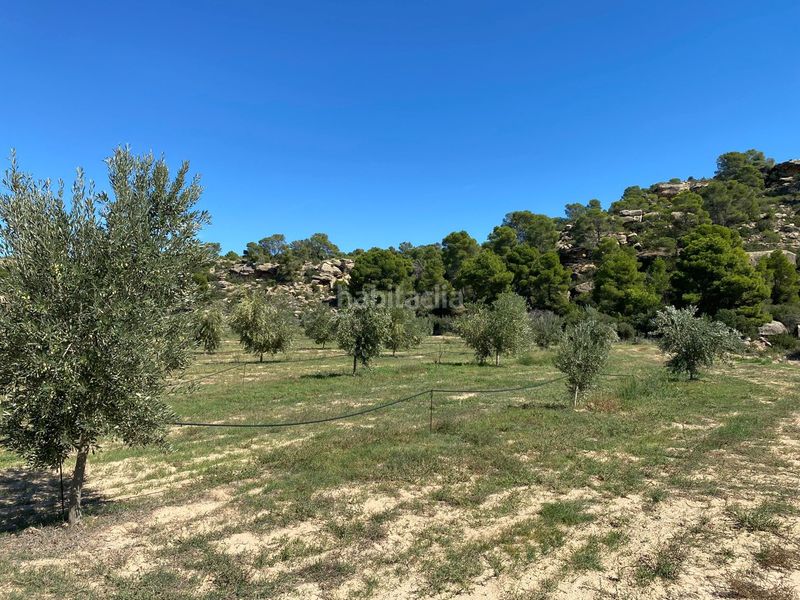 Foto 13284a91-c9a4-4639-b2e0-10aac23dd90f. Terrain résidentiel dans carretera Alcañiz a caspe dans Alcañiz