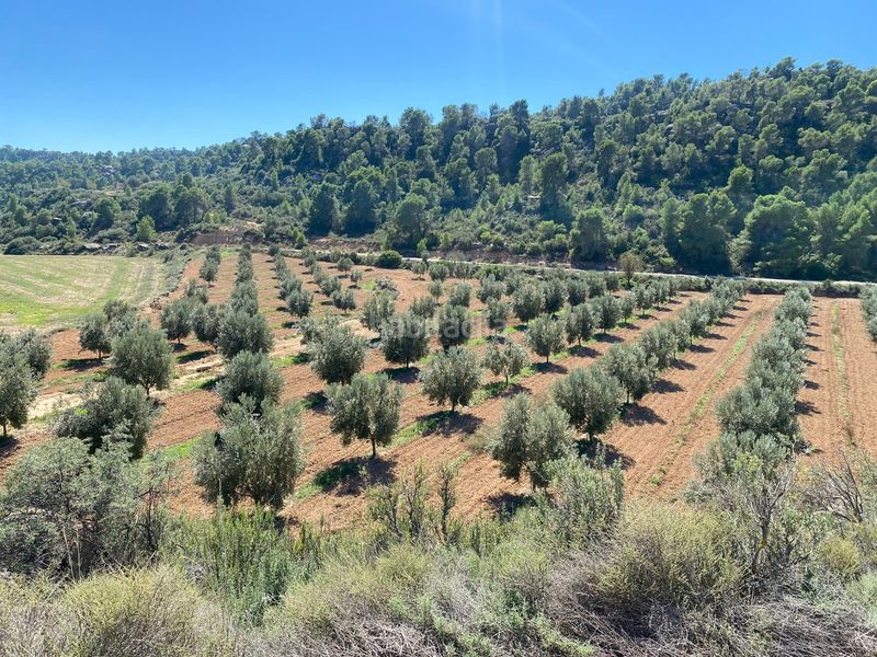 Foto 5afd41c1-2ff9-42b3-aa0b-775a542e5137. Terrain résidentiel dans carretera Alcañiz a caspe dans Alcañiz