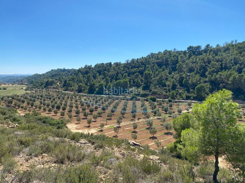 Foto 65dbd244-f774-4d1a-b839-a31e4d3247e0. Terrain résidentiel dans carretera Alcañiz a caspe dans Alcañiz