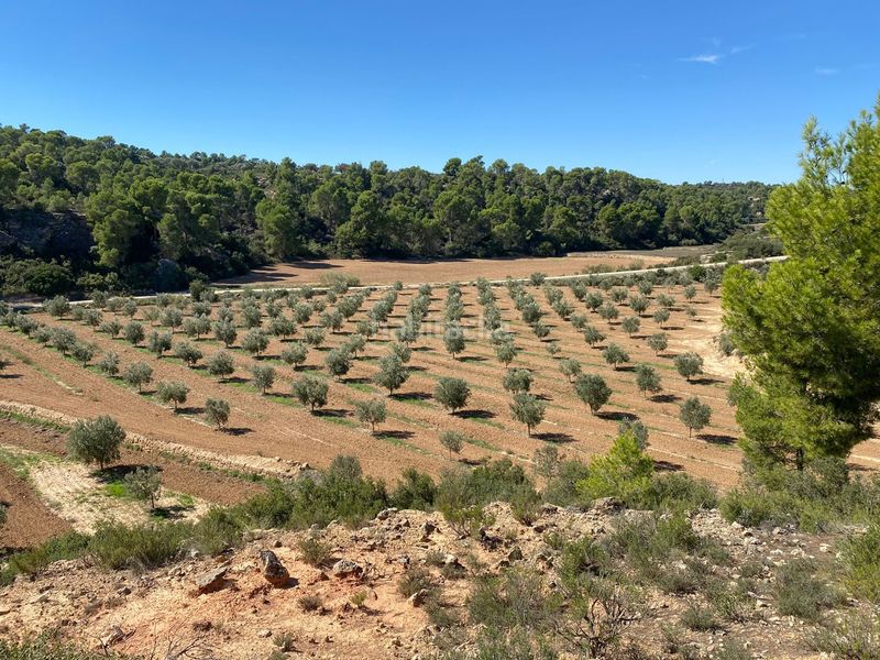 Foto 7e3d2f28-e0af-452d-85c7-b2edf8ddd16a. Terrain résidentiel dans carretera Alcañiz a caspe dans Alcañiz