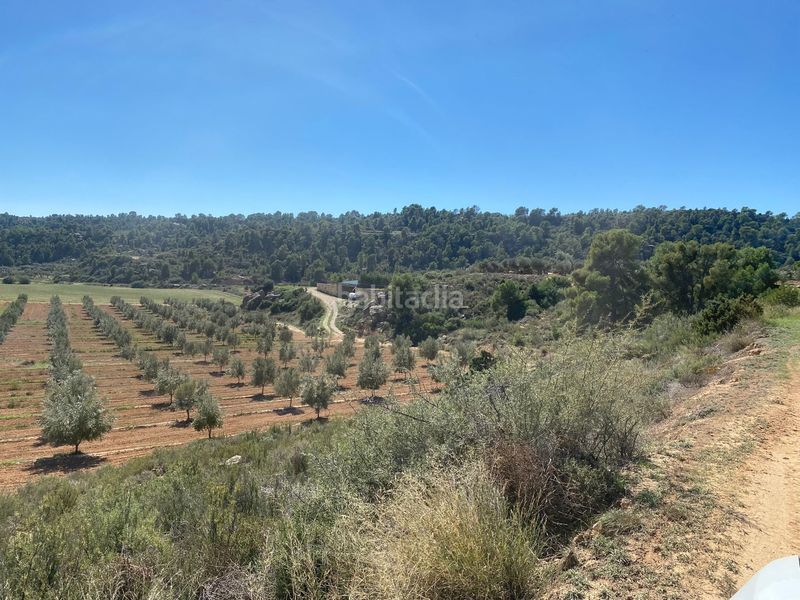 Foto 7e4fd6bb-9cbc-4da5-8d09-36acd1d79720. Terrain résidentiel dans carretera Alcañiz a caspe dans Alcañiz