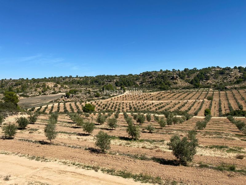 Foto 8973280f-0dba-4e75-a550-97044cc5acbb. Terrain résidentiel dans carretera Alcañiz a caspe dans Alcañiz