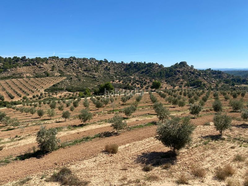 Foto 8e749e81-49dc-4d0b-8d88-0e39f02e628f. Terrain résidentiel dans carretera Alcañiz a caspe dans Alcañiz