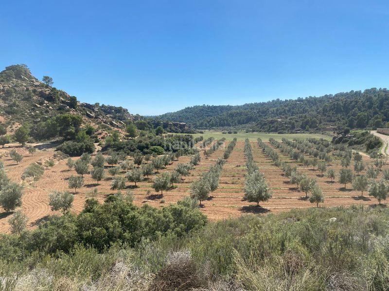 Foto b0620b59-c4e8-4912-8181-14fb821412c5. Terrain résidentiel dans carretera Alcañiz a caspe dans Alcañiz