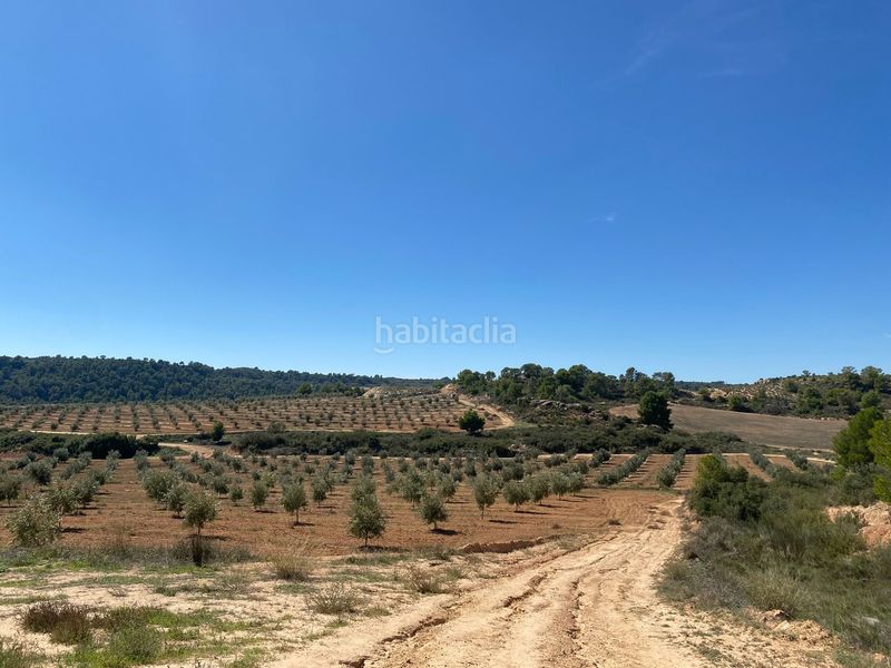 Foto bbc75e6f-2883-488c-8999-32fd0c98592d. Terrain résidentiel dans carretera Alcañiz a caspe dans Alcañiz