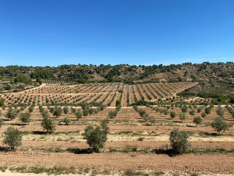 Foto c1ff4f5a-54f9-44cb-8d8b-89b8ef437773. Terrain résidentiel dans carretera Alcañiz a caspe dans Alcañiz