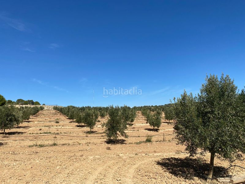 Foto c38c730d-7fd4-453a-94b8-3d44f917b2e8. Terrain résidentiel dans carretera Alcañiz a caspe dans Alcañiz