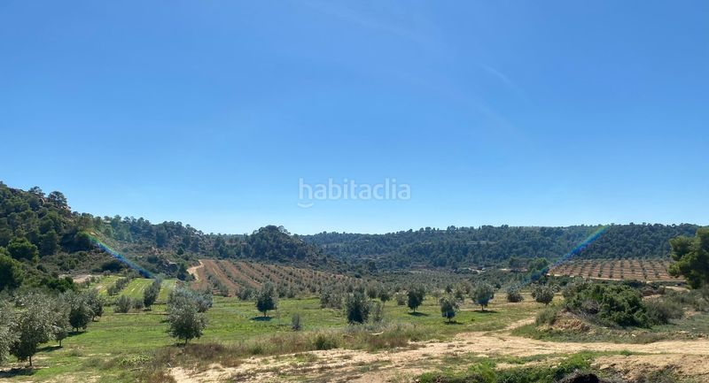Foto c4219839-7615-412b-995f-fd595168c379. Terrain résidentiel dans carretera Alcañiz a caspe dans Alcañiz