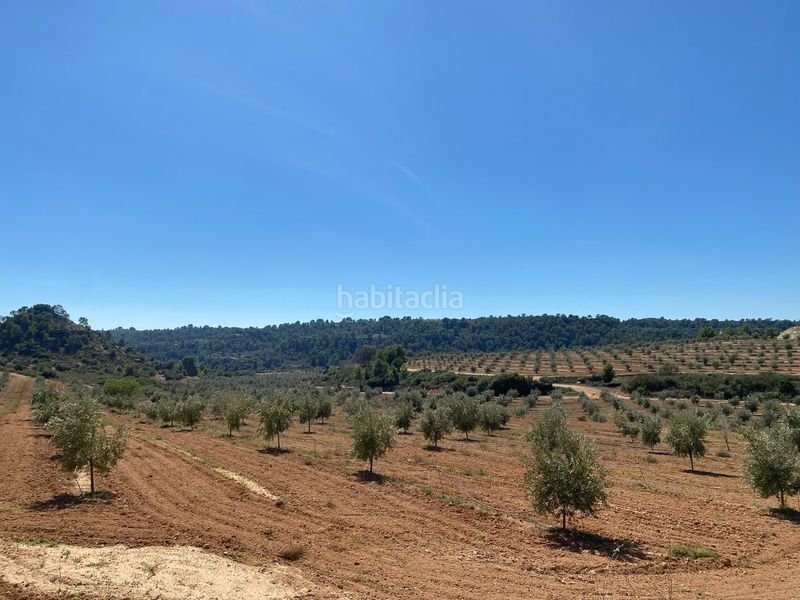Foto ed9f73f4-843a-43c1-adbb-e1f909177a1d. Terrain résidentiel dans carretera Alcañiz a caspe dans Alcañiz