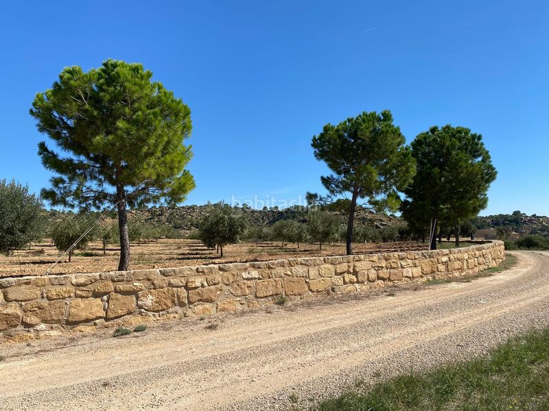 Foto f8bfee8c-e7be-42d2-88a5-6e519abeef95. Terrain résidentiel dans carretera Alcañiz a caspe dans Alcañiz