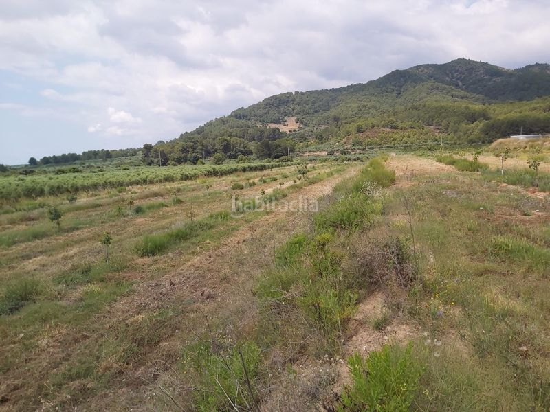 Foto 402c617d-8d23-4f9a-ae15-401a0048f299. Finca rústica a Riudecols