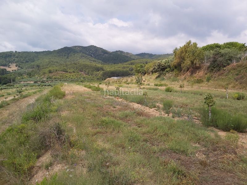 Foto 5b247723-6f54-4aef-a75a-bf02e8b0856a. Finca rústica a Riudecols