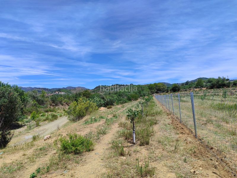 Foto dcddedc3-cd43-458f-a8fb-b3d2a1e764f2. Finca rústica a Riudecols