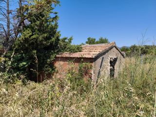 Fondo rustico in Riudecols. Finca de regadiu,plantacio de pistachos, o lo que se quiera