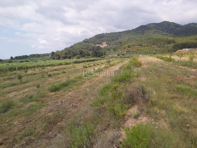 Foto 402c617d-8d23-4f9a-ae15-401a0048f299. Finca rústica a Riudecols