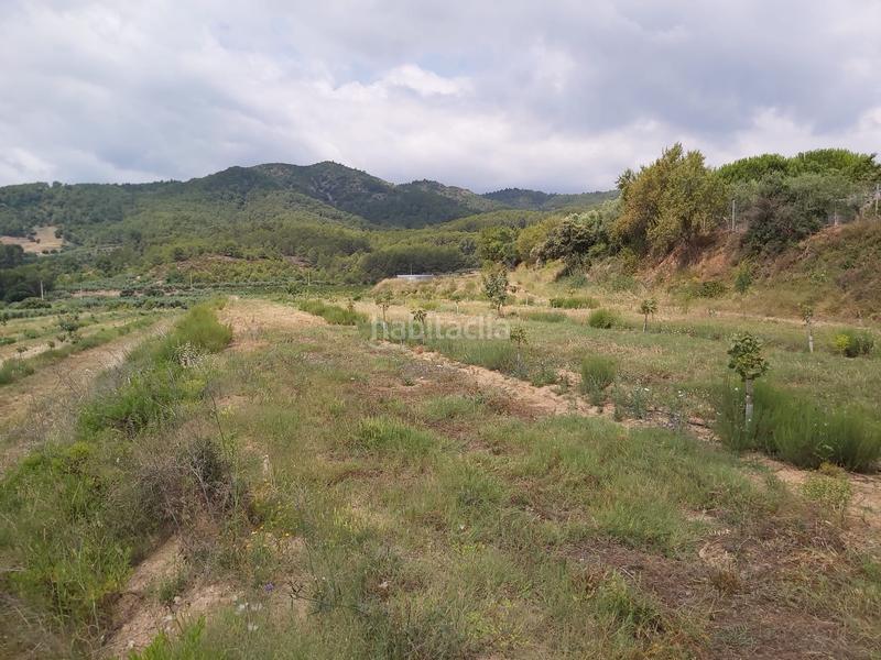 Foto 5b247723-6f54-4aef-a75a-bf02e8b0856a. Finca rústica a Riudecols