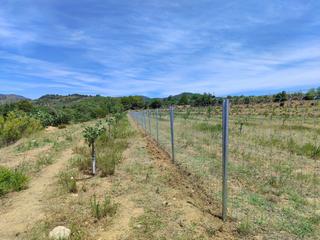 Finca rústica a Riudecols. Finca de regadiu,plantacio de pistachos