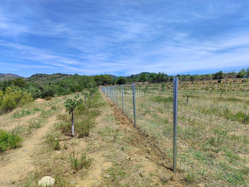 Foto 5e1662da-f8e8-4751-8eb4-2051d35978c6. Finca rústica a Riudecols
