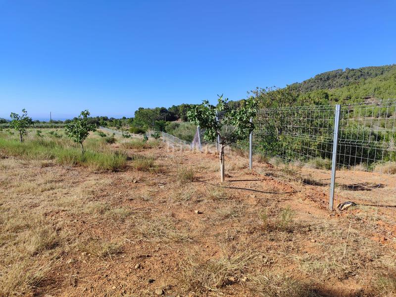 Foto c532f161-9297-4f37-b337-ad26c0d4fe63. Finca rústica a Riudecols