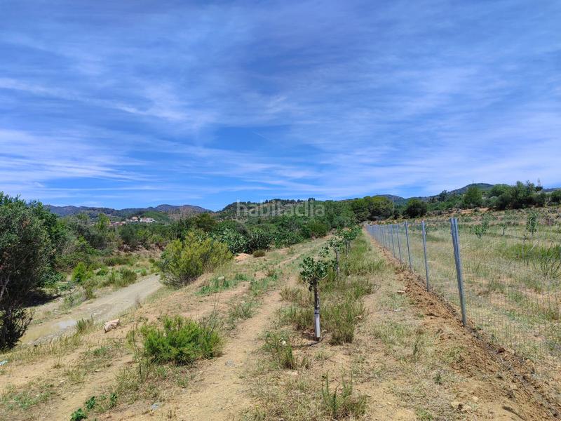 Foto dcddedc3-cd43-458f-a8fb-b3d2a1e764f2. Finca rústica a Riudecols