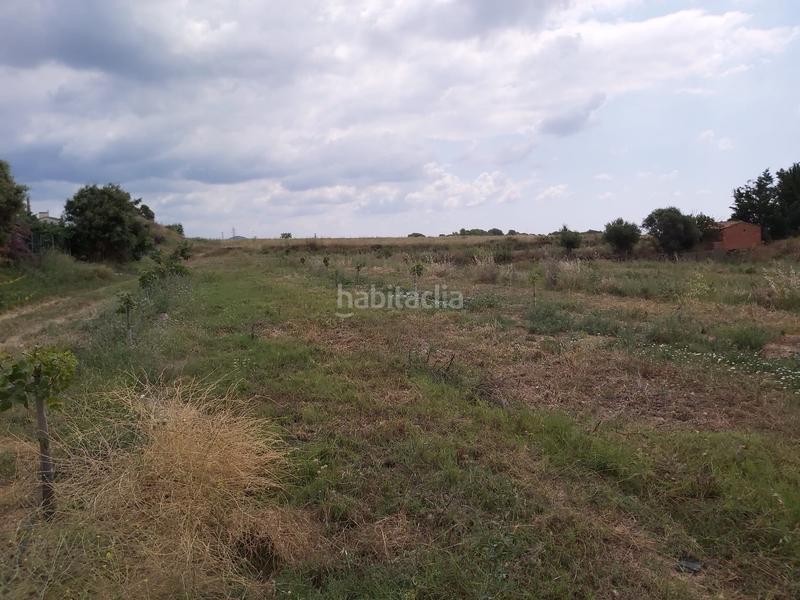 Foto e04a1124-e7b0-4e82-9424-8bf4d52ef48a. Finca rústica a Riudecols