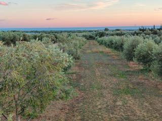 Finca rústica a Montbrió del Camp. Parcela de 44.534m2,casita de piedra