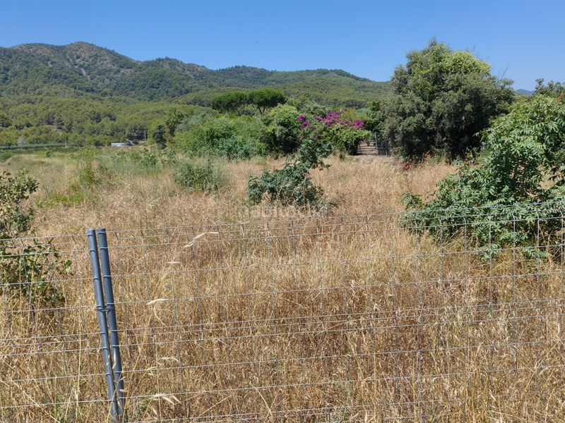 Foto 4b2100cb-685c-4fd1-8ce2-28189dd34c9a. Finca rústica a n/a a Riudecols