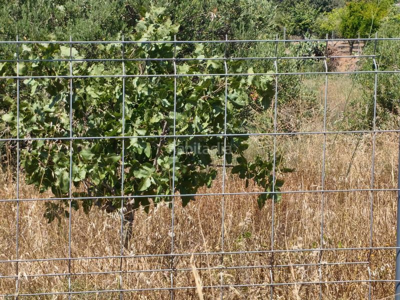Foto b651b4e3-b30f-4ab6-b804-966044ad36a3. Finca rústica a n/a a Riudecols