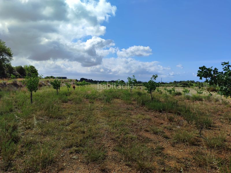 Foto f1ac3204-ba50-457a-a711-bb79e26f74e1. Finca rústica a n/a a Riudecols