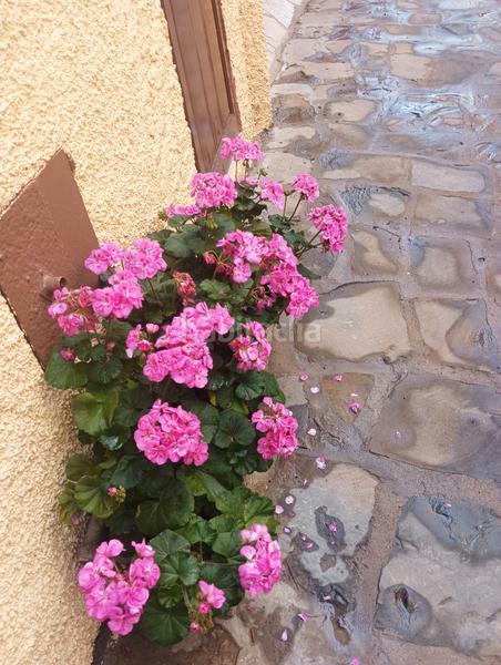 Foto c8eff8df-f1ad-4ccf-a8af-6792b9d49563. Miete appartement mit heizung in Sant Llorenç de Morunys