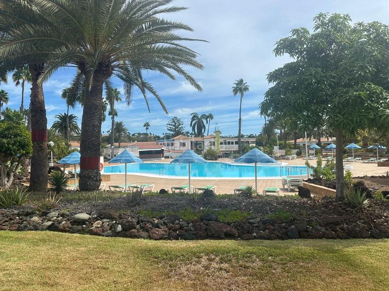 Foto 16dd6659-0d50-4f92-b157-3c81914e4dc3. House with pool in Maspalomas - Meloneras San Bartolomé de Tirajana