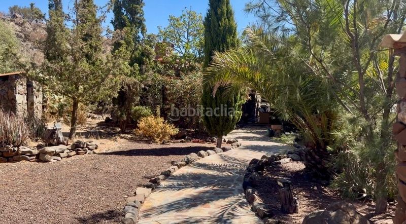 Foto cf99bab2-0ce2-4808-8216-dec73d3f113d. Casale con riscaldamento parcheggio piscina in Valle de los Nueve - El Ejido - Medianías Telde