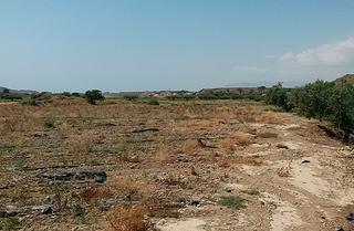 Terrain résidentiel à Pago alifraga. Parcela de suelo rústico en venta en el paraje alifraga de la lo