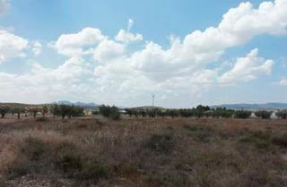 Terreny residencial a Suelo, ptda cañada del embudo pg 15 pc 283-jumilla. Suelo en venta en jumilla murcia. se trata de una parcela ubicad