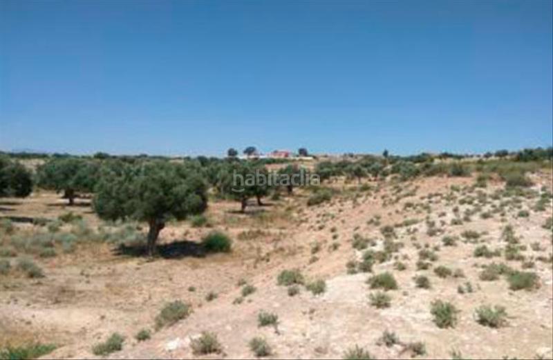 Foto 83ee56cd-aae1-45b7-93bb-689caa3f0eb9. Wohngrundstück in las zorreras in Javalí Nuevo Murcia